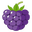 Blackberry token logo