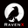 Raven X logo