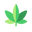 Weed Token logo