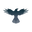 Raven Protocol logo